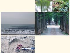 -日照海滨国家森林公园