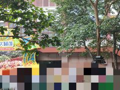 -西双版纳原始森林公园