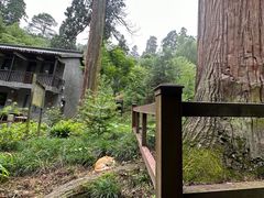 -东天目山风景区