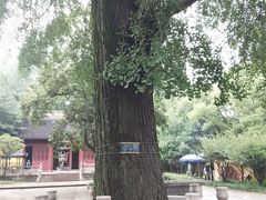 -苏州上方山国家森林公园