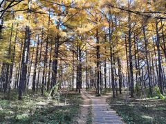 -长春市南湖公园