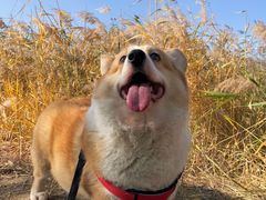 -绿堤公园