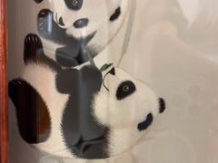 -玉芝兰(长发街店)