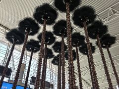 -广州白云国际机场-T2航站楼