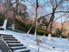 -南山风景名胜区