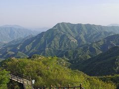 -大岭沟猕猴桃谷风景区