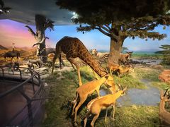 -国家自然博物馆