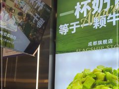 -茉酸奶(春熙路店)