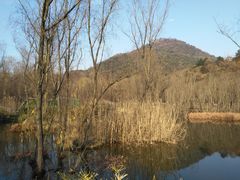 -西湖风景区-江洋畈生态公园