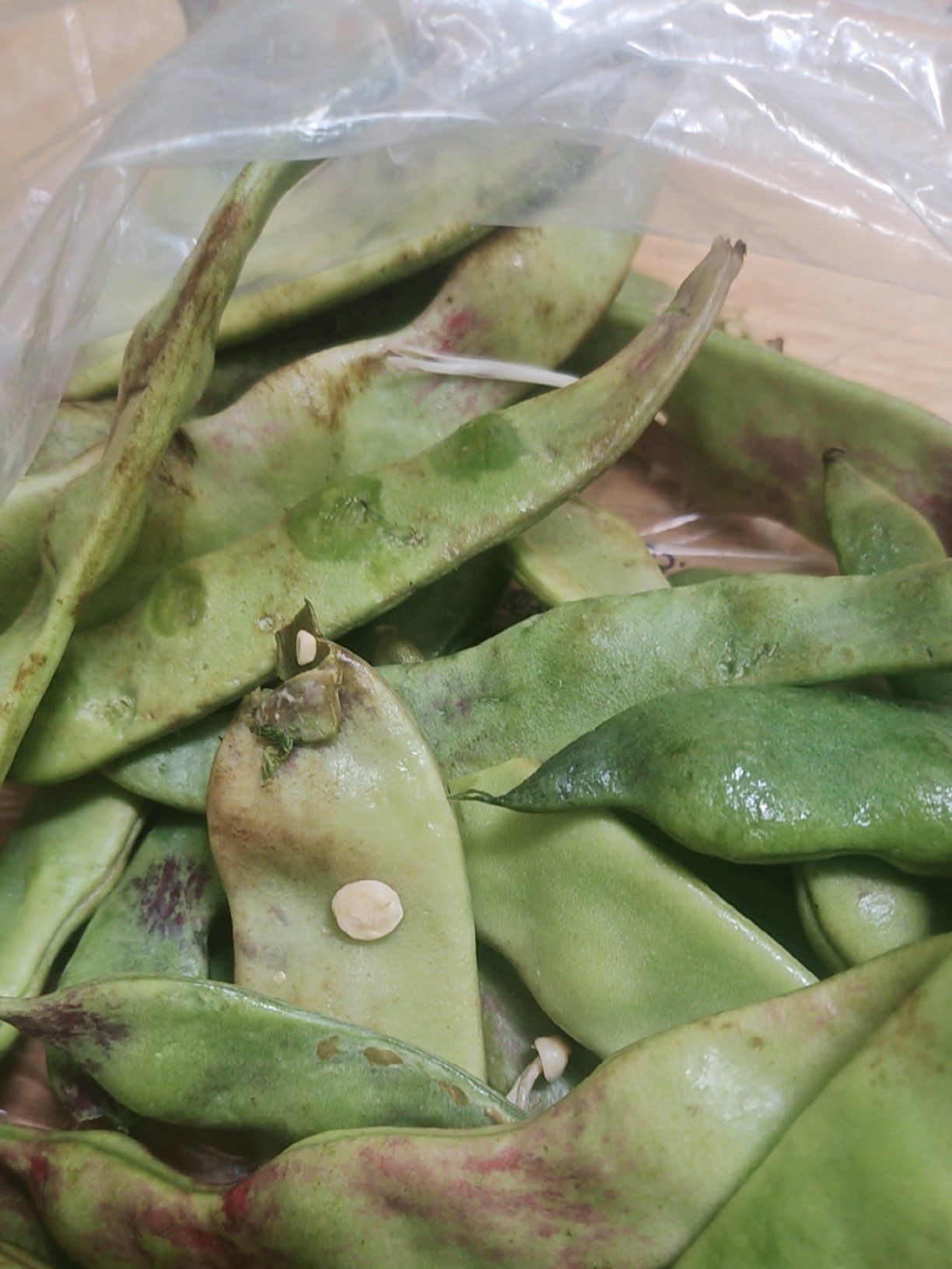 这个全盈极差,说是好豆角结果给了烂的,上面都粘的,茄子也是坏的,蒜