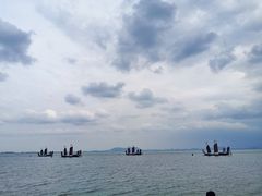 -贡湖湾湿地公园