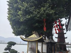 -仓山金山寺