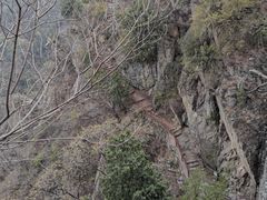 -北京鹫峰国家森林公园