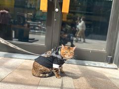 -星巴克(天津鲁能中心第三店)