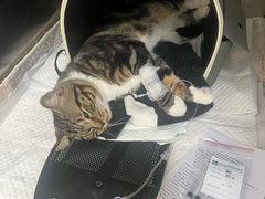 -美联众合动物医院·24h京西诊疗中心