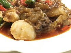 山药烩牛腩-圣厨牛腩(青春岛社区玉寿苑店)