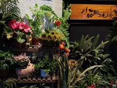 -福苗小骆驼烧烤(莲湖路店)