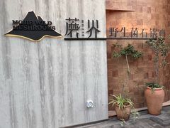 -蘑界·野生菌火锅(深业上城店)