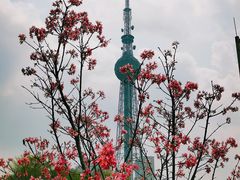 -文华公园(禅城区)