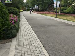 -杭州城北体育公园