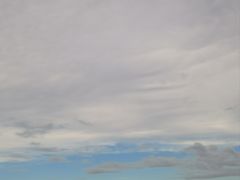 -碧海金沙