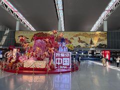 -合肥新桥国际机场-航站楼
