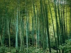 -黄公望隐居地