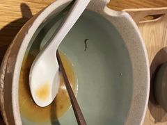 -美食小镇·观赏珍稀鸟类·长隆熊猫酒店