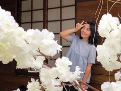 -玫瑰海岸文化旅游度假区