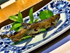 -达摩君日本料理(泰海花园小区店)