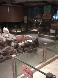 -造物庄园 萌宠纪(苏州湾歌林公园店)