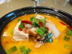 农家盐卤豆腐煲-7017浙菜•建德味(中财店)