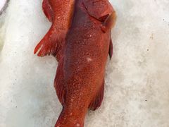 -万宝海鲜舫(劳动公园店)