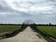 -嘉北郊野公园