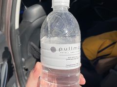 -无锡新湖铂尔曼大酒店