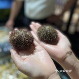 徐记海鲜｜排断腿的网红海鲜终于“霸占”了上海！