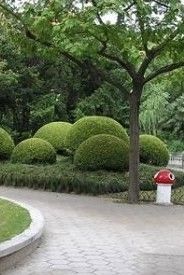 -兰溪青年公园