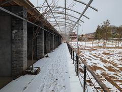 -渭南桃花源民俗文化园