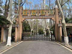 -灵谷景区