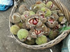 -鱼酷活鱼烤鱼(恒隆广场店)