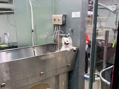 -PETKIT小佩宠物(昭化店)