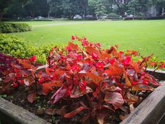 -浙江大学(玉泉校区)