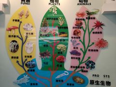 -金钉子远古世界景区