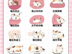 -翊宠yipet猫狗购宠庄园犬舍•猫舍