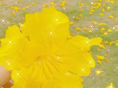-松山湖风景区松湖烟雨