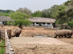 -沈阳森林动物园