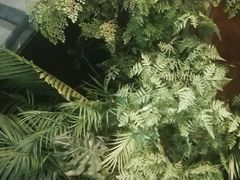 -江小渔鲜鱼火锅(西二道街店)