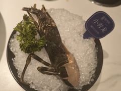 -海月轩海鲜豆捞(紫金塔店)