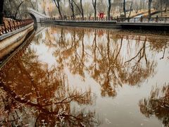 -迎泽公园