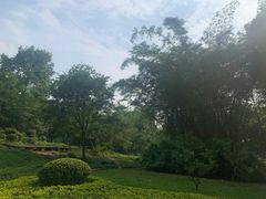 -晓港公园
